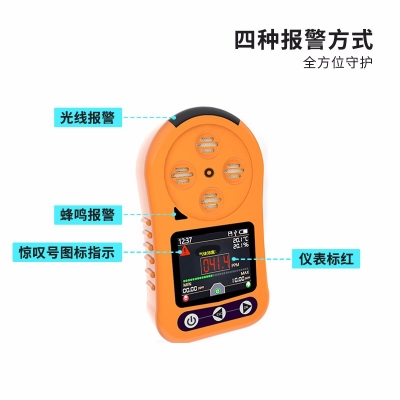 便攜式臭氧氣體檢測(cè)儀